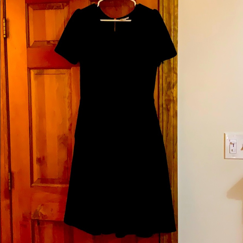 L solid black LLR Amelia